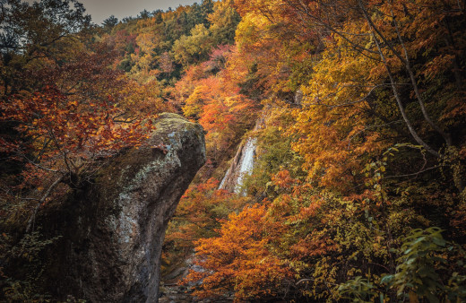 1110307 (a): :2048x1330